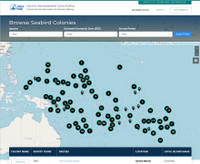 Pacific Seabirds Screenshot